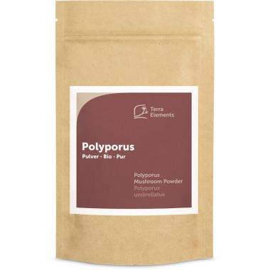 Bio Polyporus Pulver, 100 g 